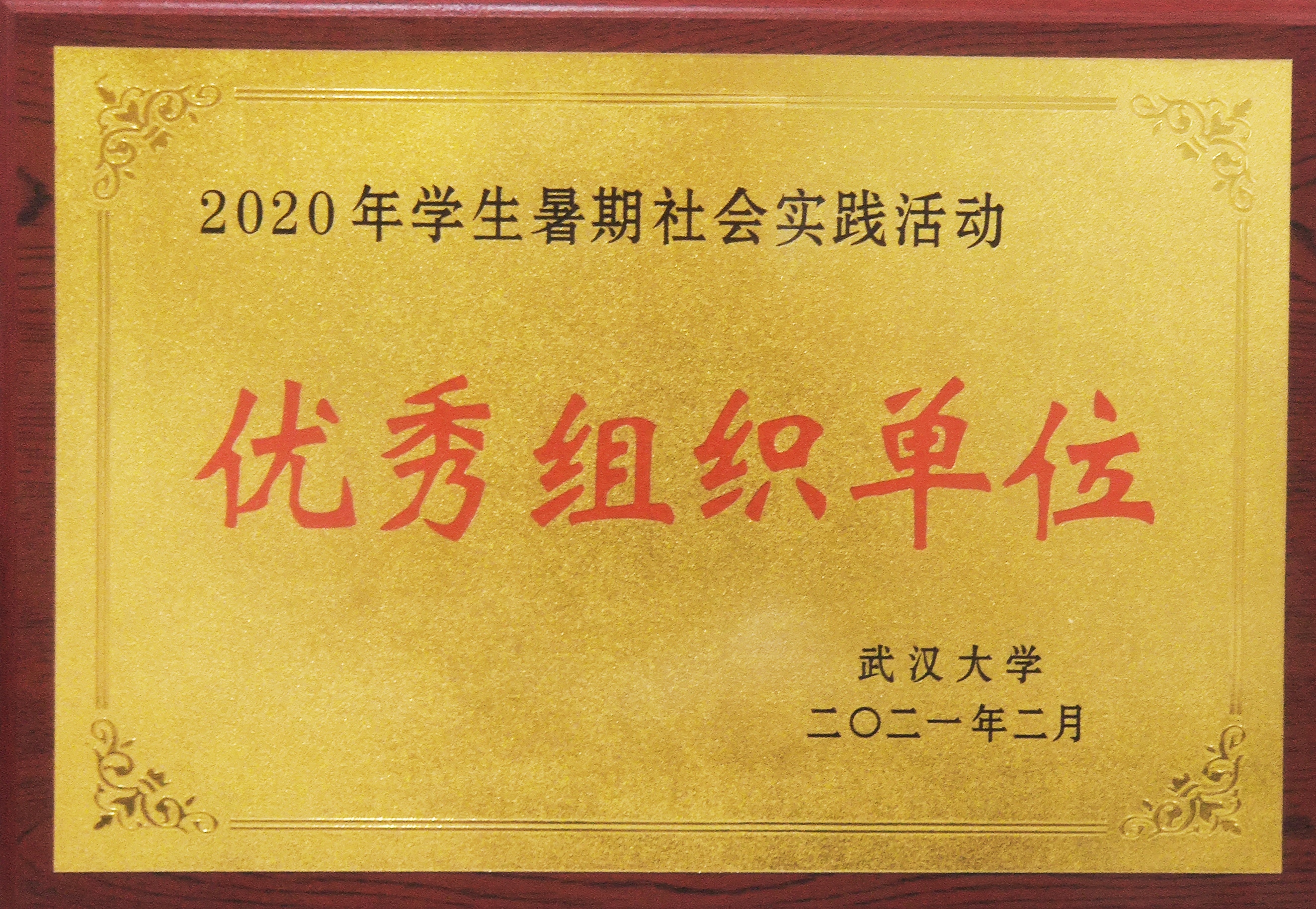 媒体链接 | 成人直播
获评2020年暑期社会实践活动优秀组织单位
